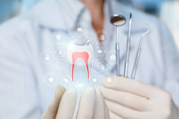 Trusted Dalworthington Gardens, TX Holistic Dental Care Services Experts